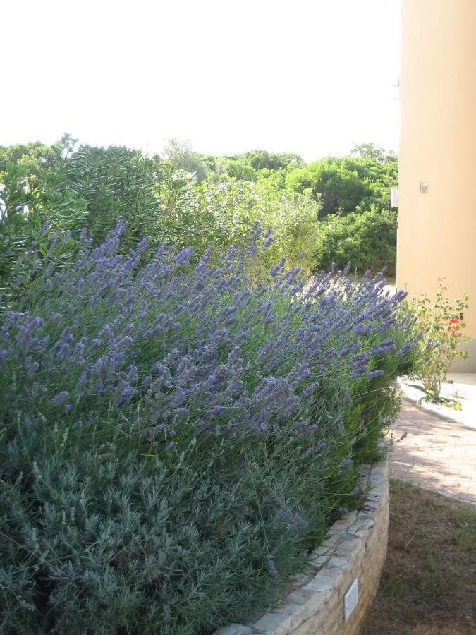 Villa „Drei Palmen“ Sveti Filip i Jakov Exterior foto